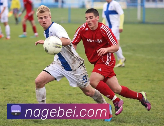 开云官网发展历程